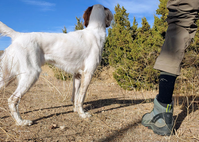 Darn Tough Socks Gear Review