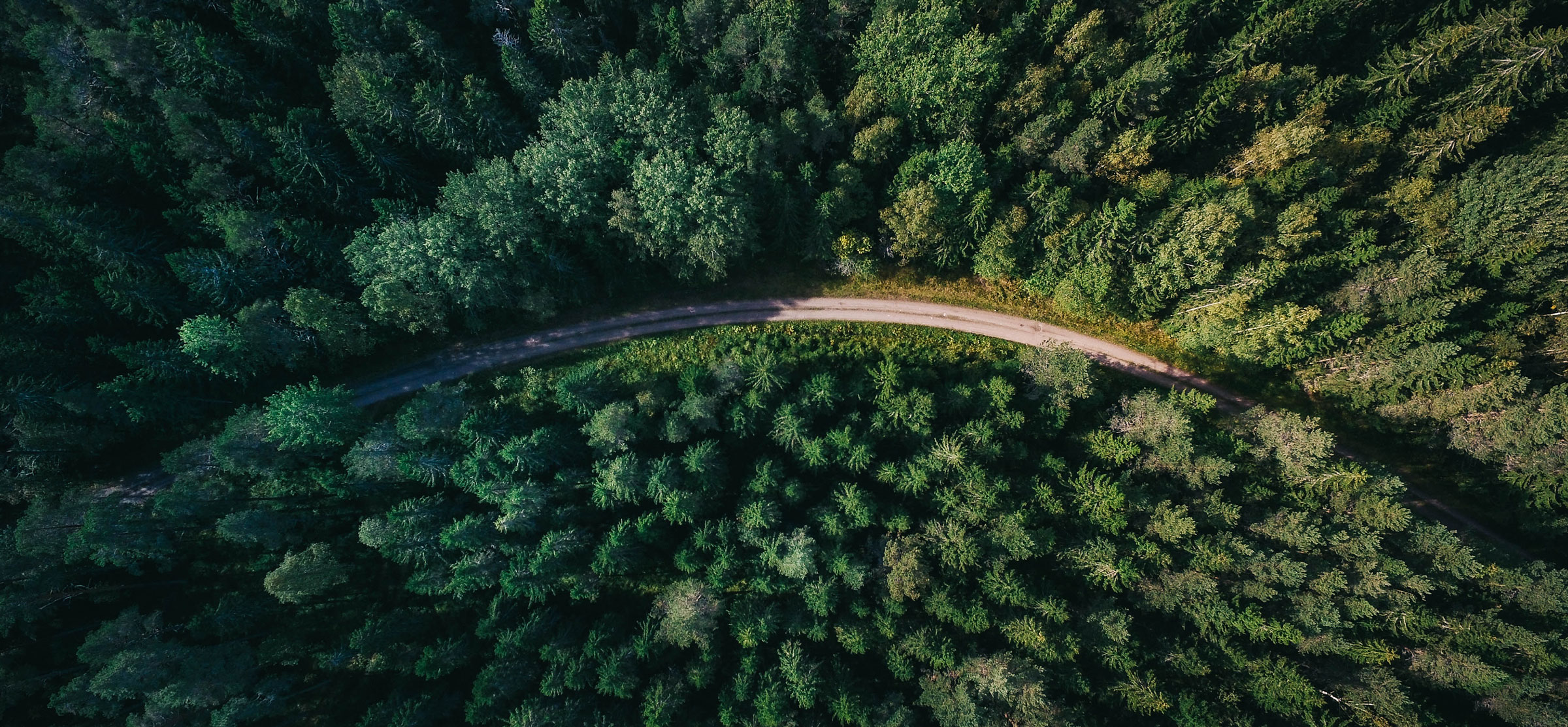 Outdoor Prolink Privacy Policy